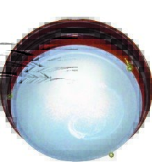 Duna Image