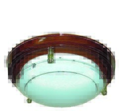 P-40 Image